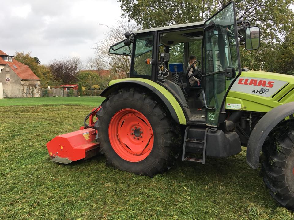 Wiese gemäht Mulchen von Grasflächen in Bad Oeynhausen