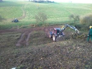 Rodung der Bepflanzung für Zaunbau