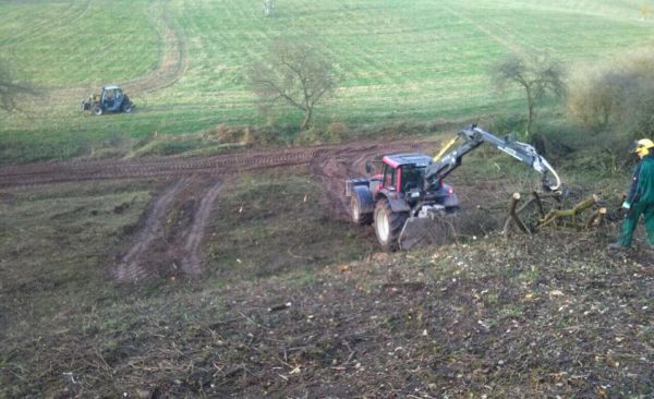 Rodung der Bepflanzung für Zaunbau