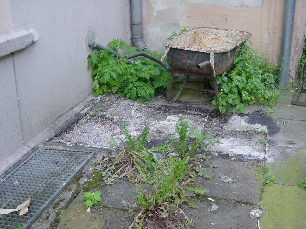 Sperrmll Bad Oeynhausen