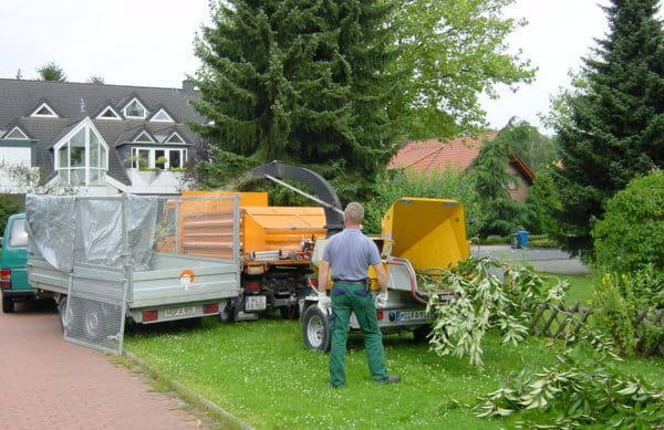 Baumfällung in Bad Oeynhausen