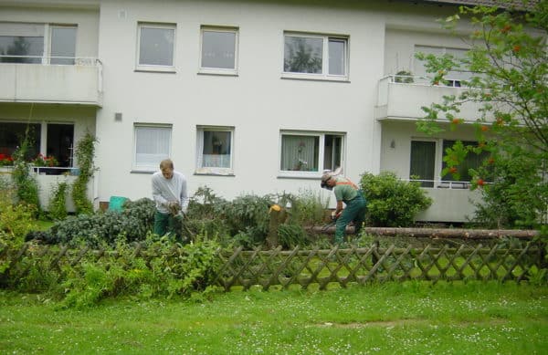 Baumfällung in Bad Oeynhausen