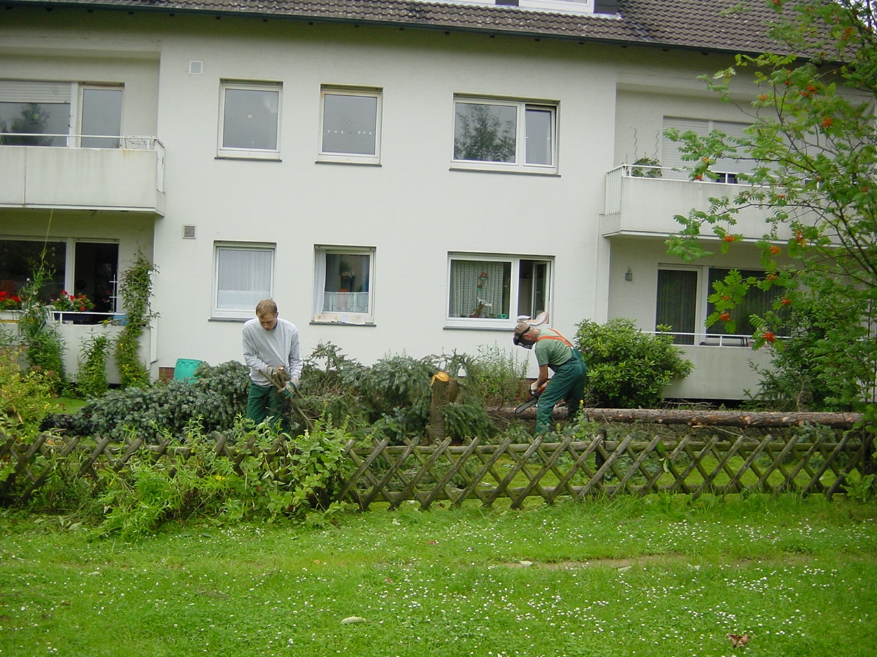 Baumfällung in Bad Oeynhausen