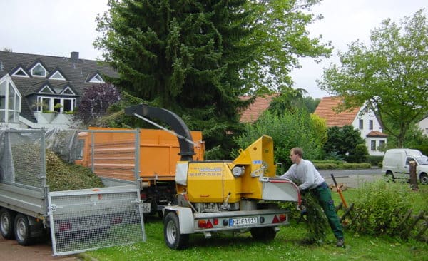 Baumfällung in Bad Oeynhausen