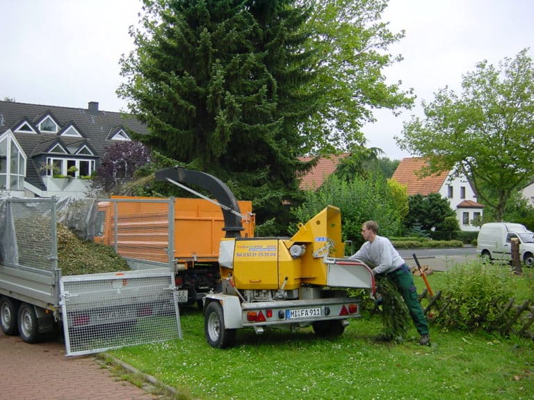 Baumfällung in Bad Oeynhausen