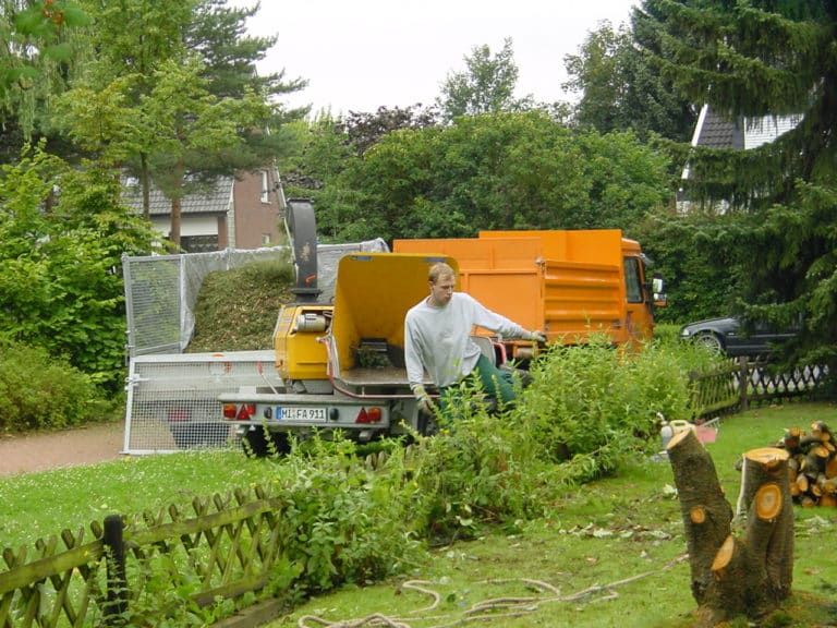 Baumfällung in Bad Oeynhausen