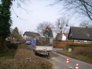 Baumfällung in Bad Oeynhausen