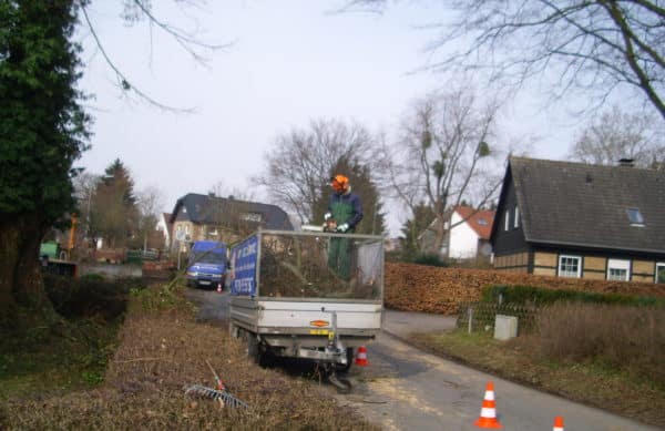 Baumfällung in Bad Oeynhausen