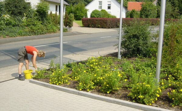 Gartenpflege im GEwerbegarten Bad Oeynhausen