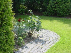 Gartenpflege im Privatgarten Bad Oeynhausen
