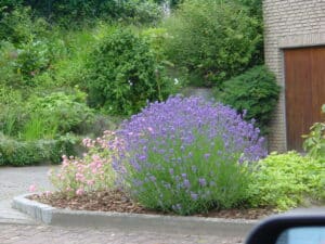 Gartenpflege im Privatgarten Bad Oeynhausen