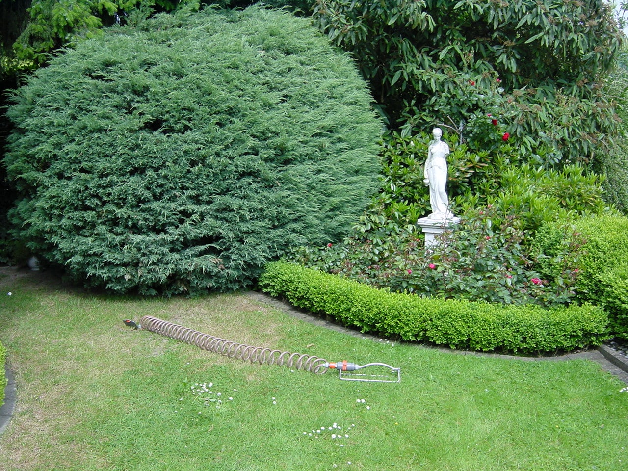 Gartenpflege im Privatgarten Bad Oeynhausen