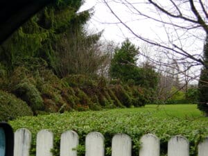 Sturmschaden Beseitigung von Bäumen in Bad Oenyhausen