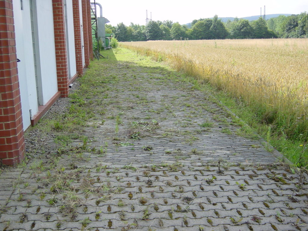 unkrautbeseitigung Bad Oeynhausen