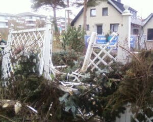 Sturmschaden Beseitigung von Bäumen in Bad Oenyhausen