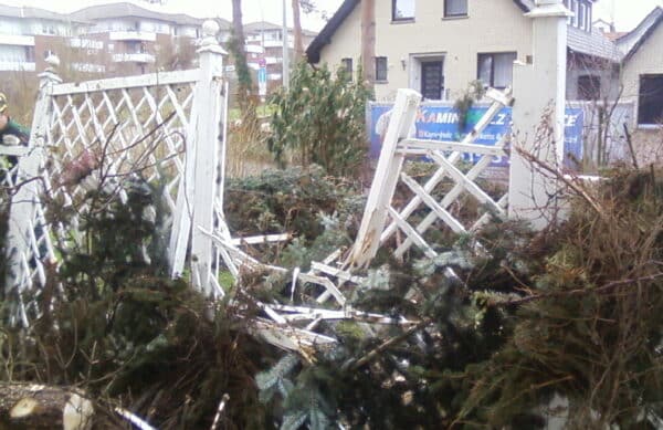 Sturmschaden Beseitigung von Bäumen in Bad Oenyhausen