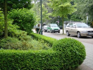 Gartenpflege Bad Oeynhausen