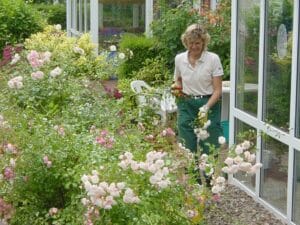 Gartenpflege Bad Oeynhausen