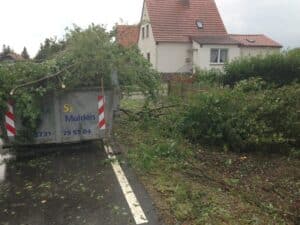 Grünschnittverladung in Mulden Bad Oeynhausen