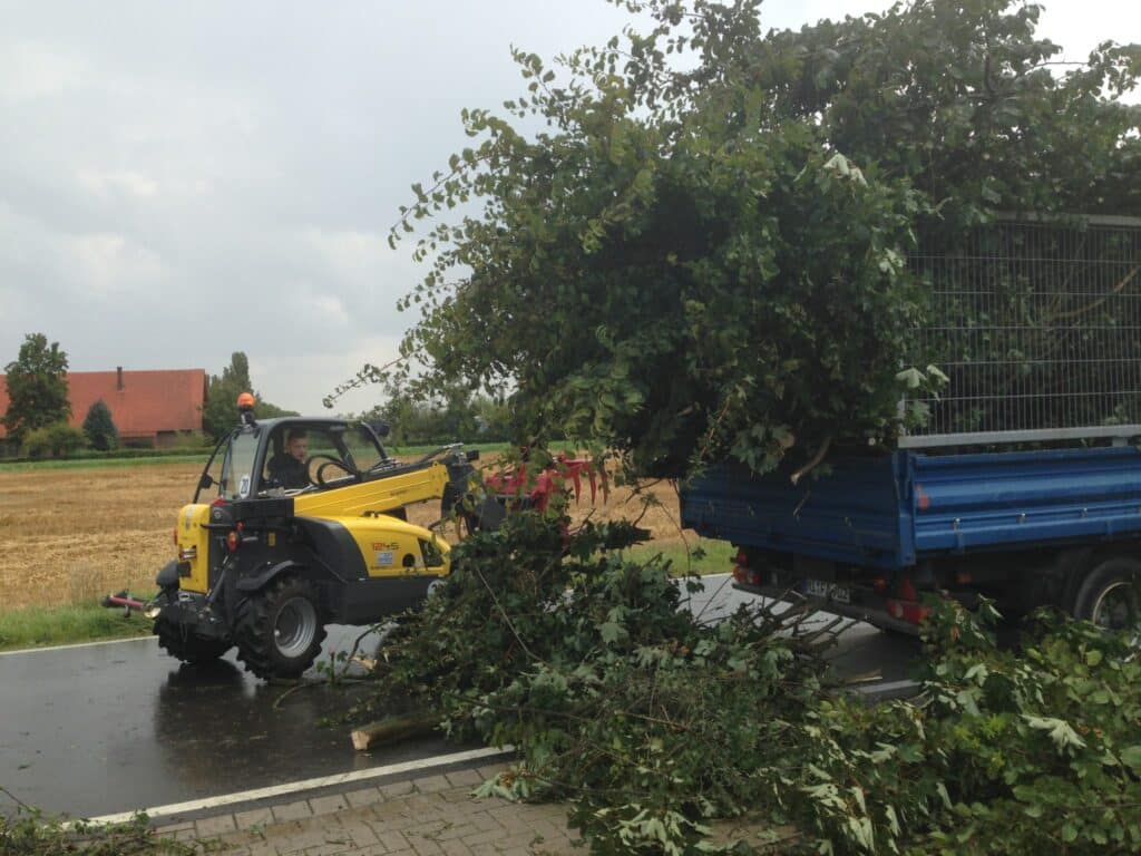 Grünschnittverladung in Anhänger Bad Oeynhausen