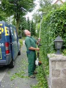 Rückschnitt der Bepflanzung im Rahmen der Gartenpflege in Bad Oeynhausen