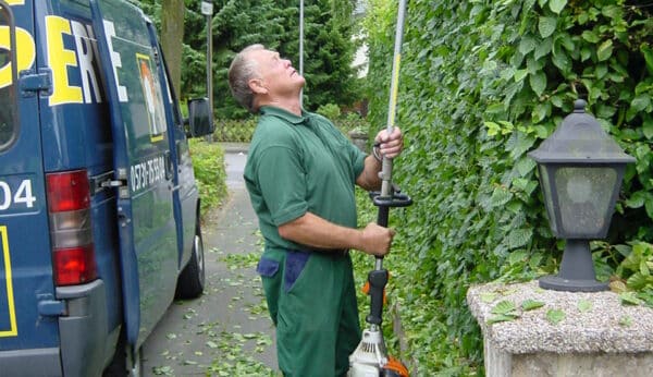 Rückschnitt der Bepflanzung im Rahmen der Gartenpflege in Bad Oeynhausen