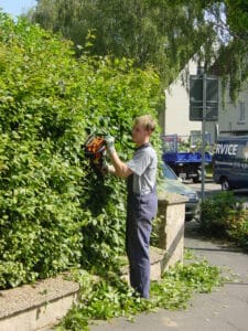 Rückschnitt der Bepflanzung im Rahmen der Gartenpflege in Bad Oeynhausen