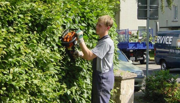 Rückschnitt der Bepflanzung im Rahmen der Gartenpflege in Bad Oeynhausen