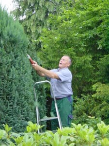 Rückschnitt der Bepflanzung im Rahmen der Gartenpflege in Bad Oeynhausen