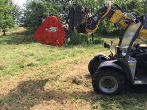 Mulchen unter Bäumen in Bad Oeynhausen