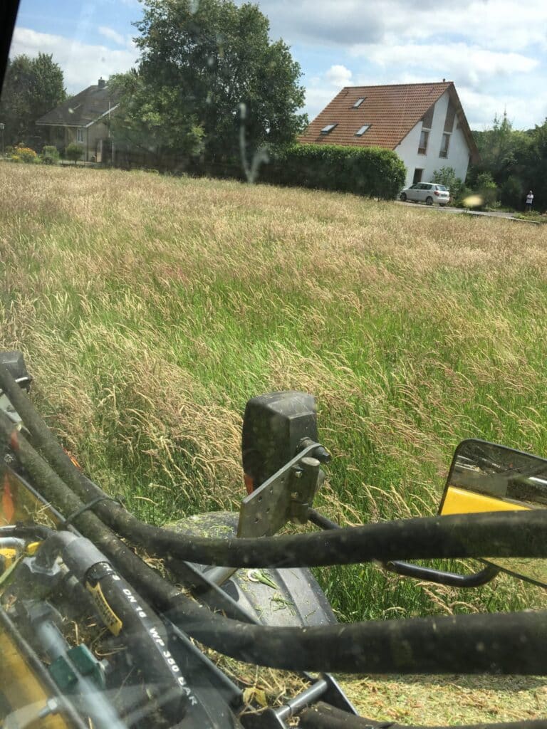 Bauplatz mähen in Bad Oeynhausen