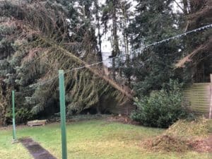 Baumfällung nach Sturmschaden Bad Oeynhausen