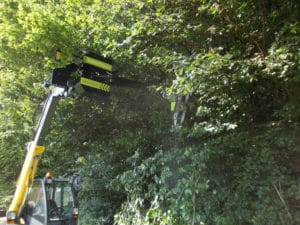 Überhang abschnieden mit Radlader und Astsäge Bad Oeynhausen