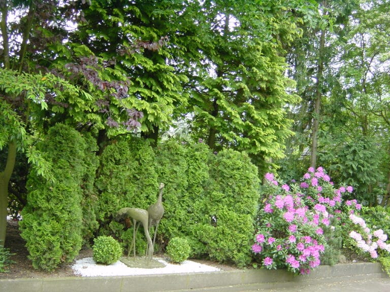 Gartengestaltung im Privatgarten Bad Oeynhausen