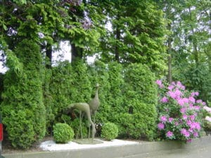 Gartengestaltung im Privatgarten Bad Oeynhausen