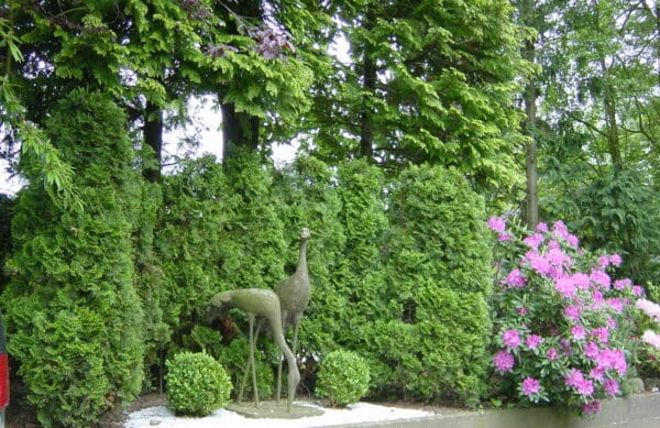 Gartengestaltung im Privatgarten Bad Oeynhausen