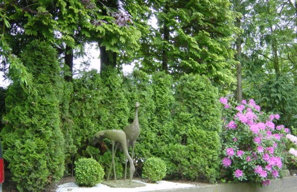 Gartengestaltung im Privatgarten Bad Oeynhausen
