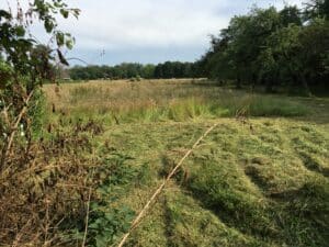 Mulchen unter Bäumen in Bad Oeynhausen