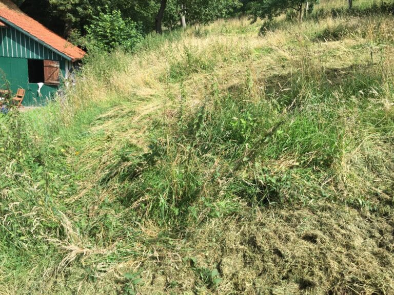 Mulchen unter Bäumen in Bad Oeynhausen