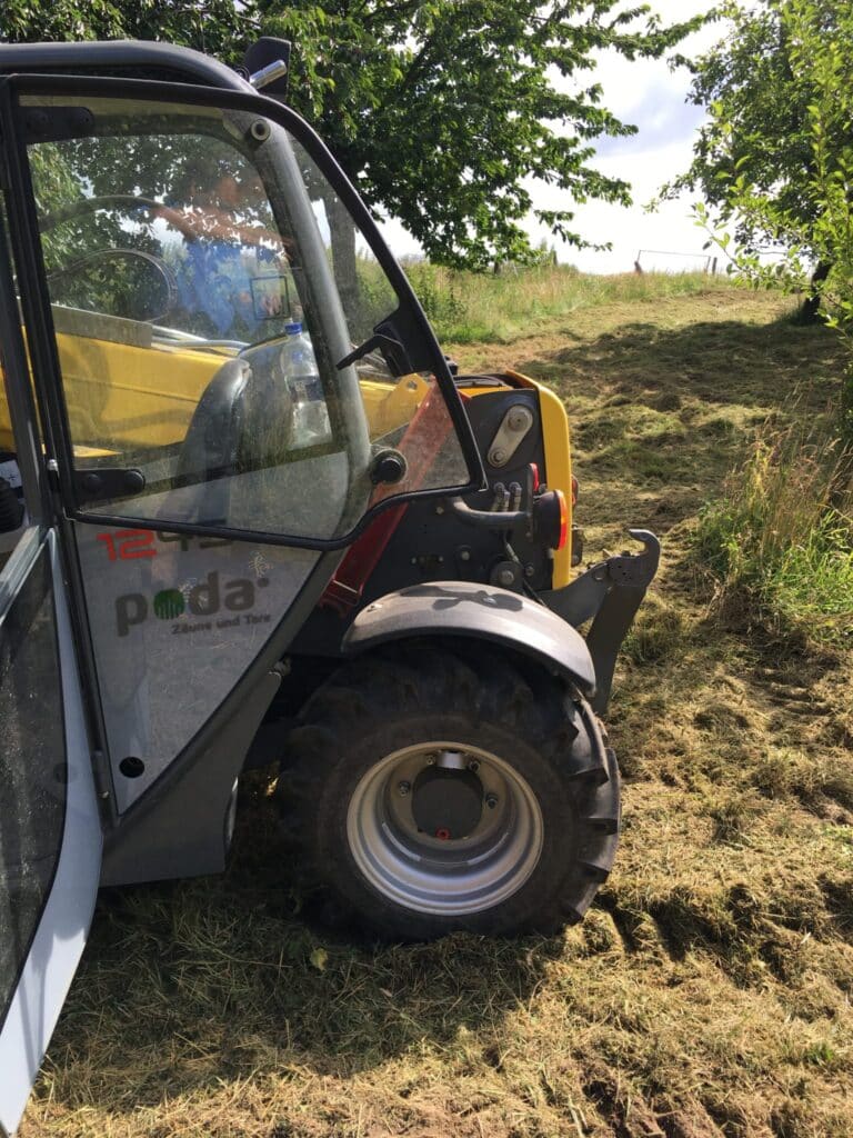 Mulchen unter Bäumen in Bad Oeynhausen