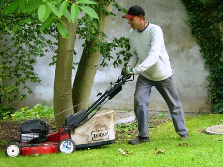 Gartenpflege im Privatgarten Bad Oeynhausen