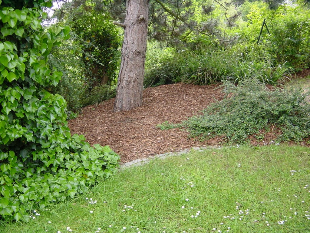 Rindenmulch für Beete in Bad Oeynhausen