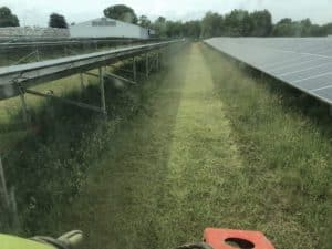 Solarparkpflege