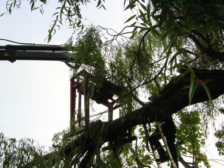 Sturmbruch beseitigen in Bad Oeynhausen