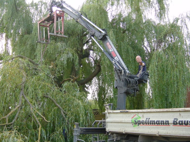 Sturmbruch beseitigen in Bad Oeynhausen