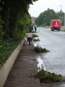 Unkrautbeseitigung auf Gehwegen Bad Oeynhausen