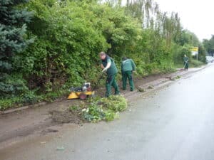 Unkrautbeseitigung auf Gehwegen Bad Oeynhausen