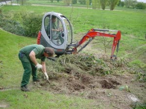 Wurzelrodung in Bad Oeynhausen