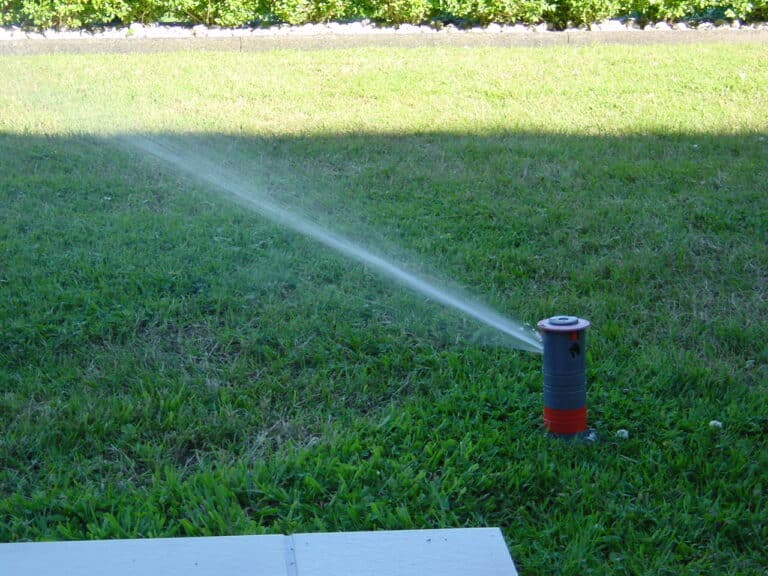 Gartenpflege im Privatgarten Bad Oeynhausen