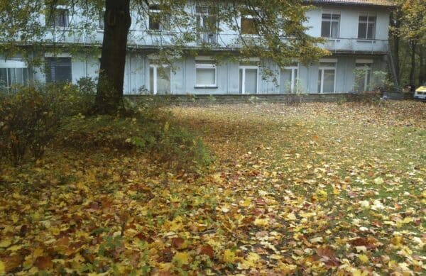 Laubbeseitigung an Gewerbeobjekten Bad Oeynhausen